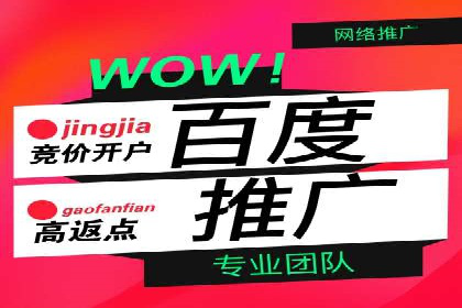 百度广告推广投入与回报的惊人案例